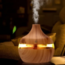 USB Ultrasonic Aroma Diffuser & Humidifier