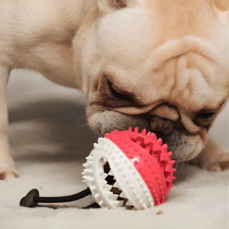 Pull Rope Dog Toy – PupHappy