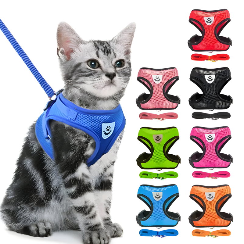 Adjustable Dog & Cat Collar – StreetPet™