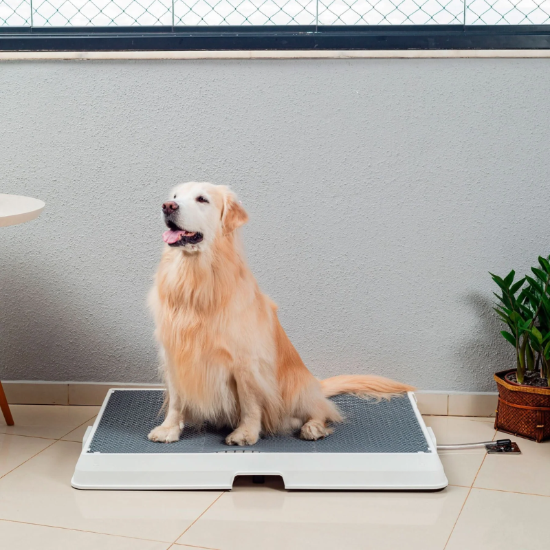 Smart Pet Bath Tub