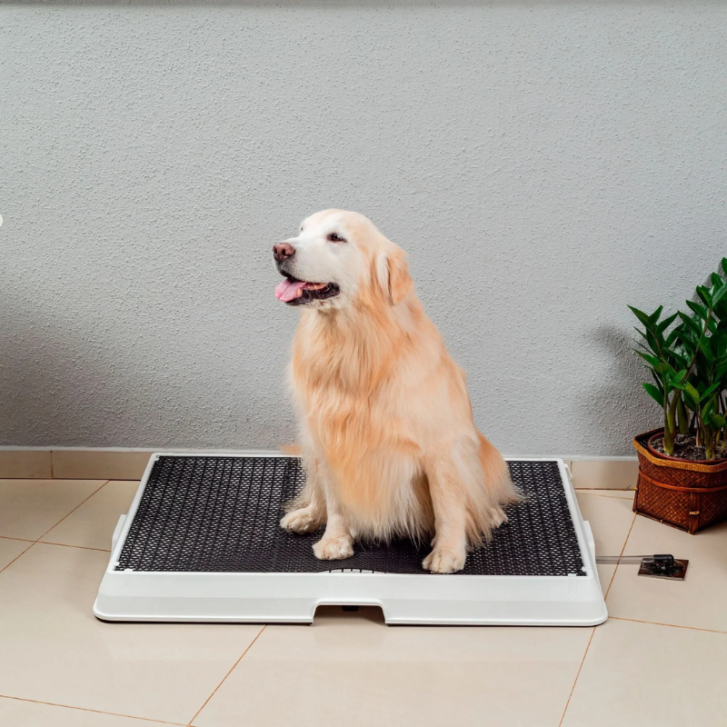 Smart Pet Bath Tub