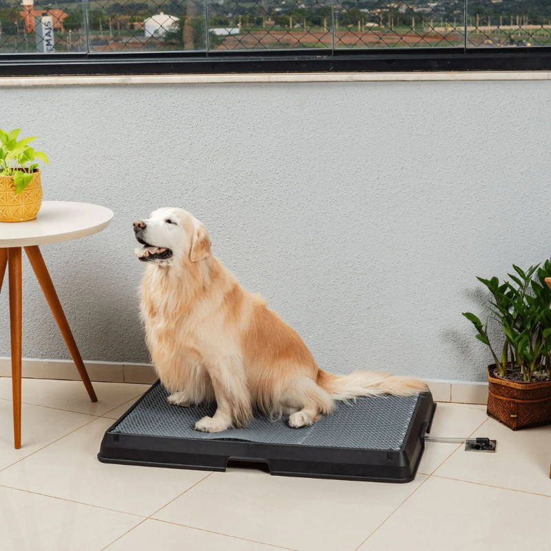 Smart Pet Bath Tub