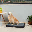 Smart Pet Bath Tub