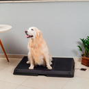 Smart Pet Bath Tub