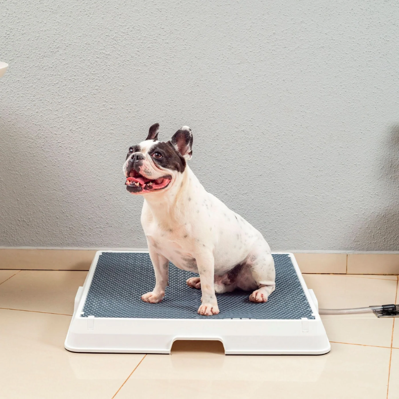 Smart Pet Bath Tub