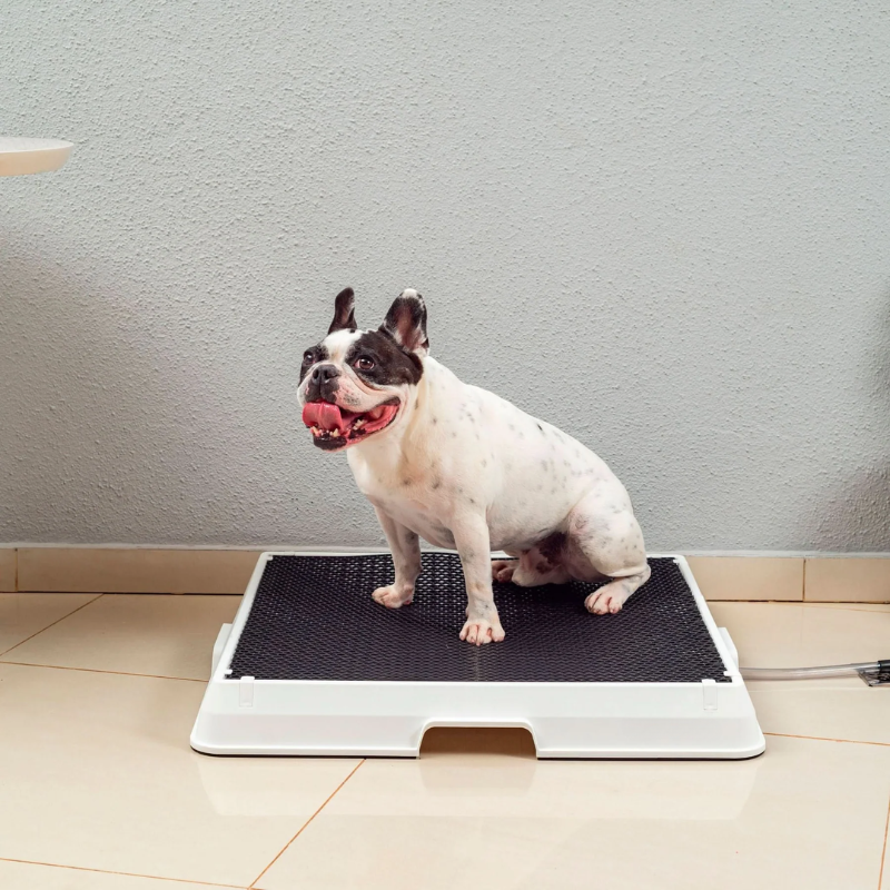 Smart Pet Bath Tub