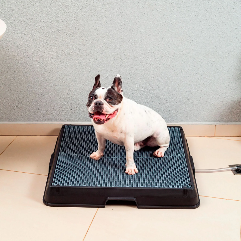 Smart Pet Bath Tub