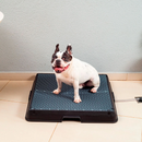 Smart Pet Bath Tub