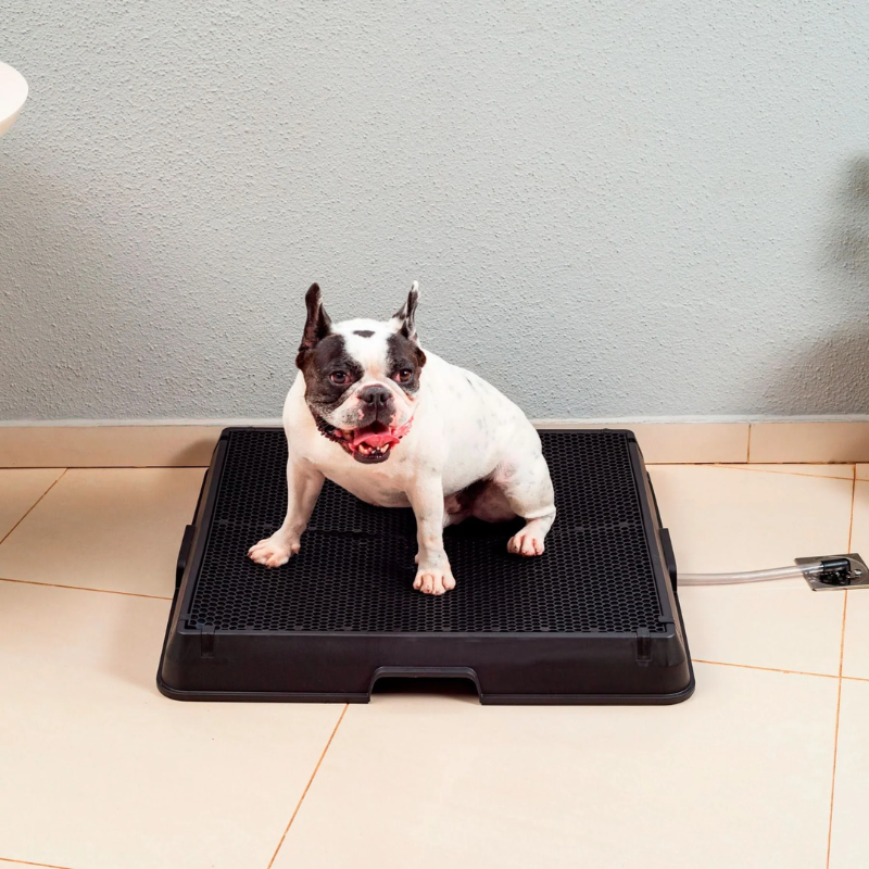Smart Pet Bath Tub