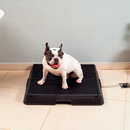 Smart Pet Bath Tub