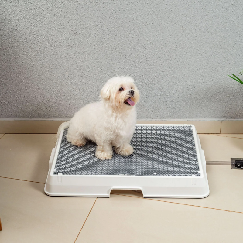 Smart Pet Bath Tub