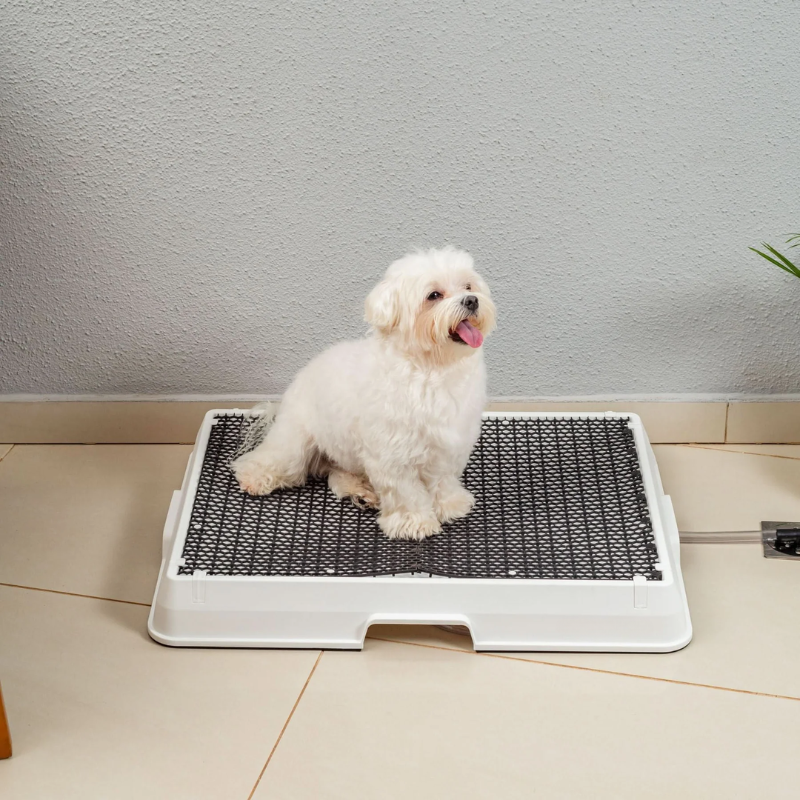 Smart Pet Bath Tub