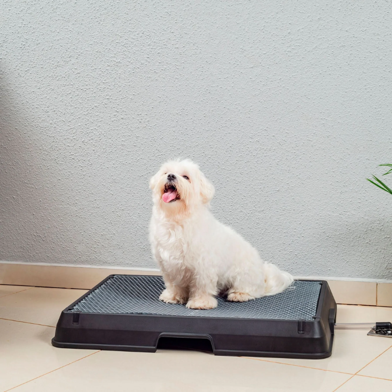 Smart Pet Bath Tub
