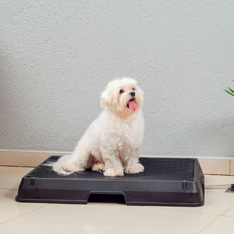 Smart Pet Bath Tub