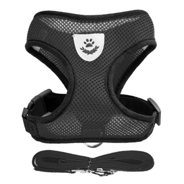 Adjustable Dog & Cat Collar – StreetPet™