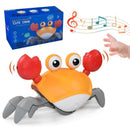 Electronic Crawling Crab with Obstacle Detection