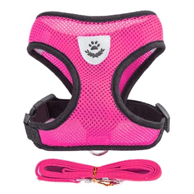 Adjustable Dog & Cat Collar – StreetPet™