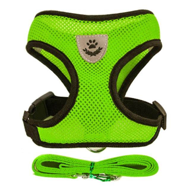 Adjustable Dog & Cat Collar – StreetPet™