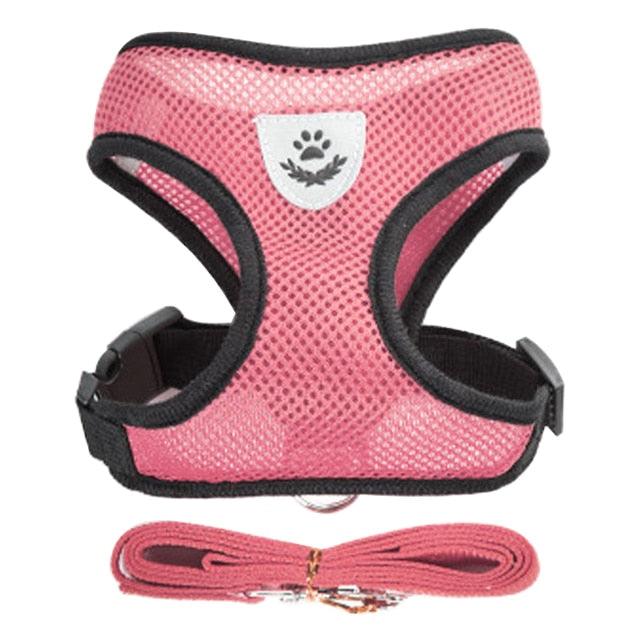 Adjustable Dog & Cat Collar – StreetPet™