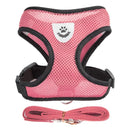 Adjustable Dog & Cat Collar – StreetPet™
