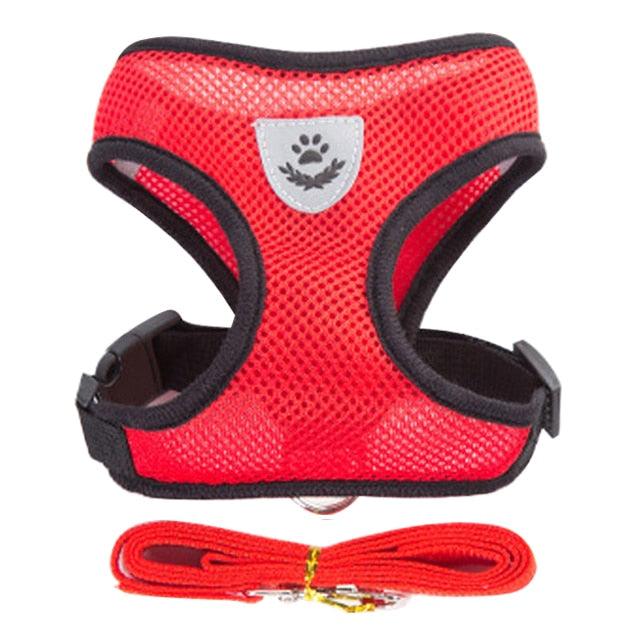 Adjustable Dog & Cat Collar – StreetPet™