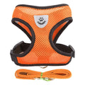 Adjustable Dog & Cat Collar – StreetPet™