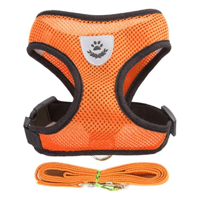 Adjustable Dog & Cat Collar – StreetPet™