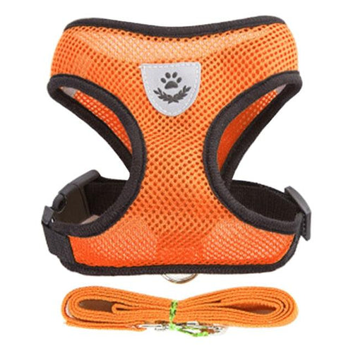 Adjustable Dog & Cat Collar – StreetPet™