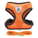 Adjustable Dog & Cat Collar – StreetPet™