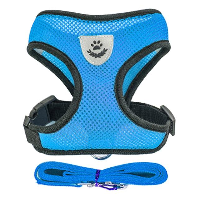 Adjustable Dog & Cat Collar – StreetPet™