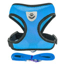 Adjustable Dog & Cat Collar – StreetPet™